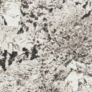 À Propos de Nous 10 alpinus 2