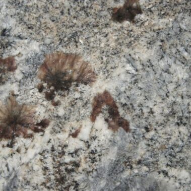 À Propos de Nous 2 blue araras